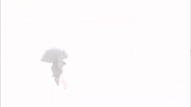 The Owl House Amv (Harpy Eda)—Roar— смотреть онлайн