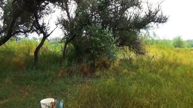 Астраханский вояж 2019часть первая Остров смотреть онлайн