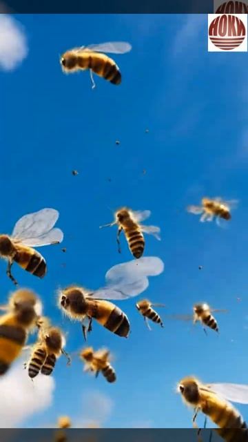 🐝 ЧТО УГРОЖАЕТ ПЧЕЛАМ?#ФИПРОНИЛ И ФИПРОНИЛОВЫЕ ИСКИ #пчелы #ПЧЕЛОВОДСТВО #news #НОВОСТИ #СУД #event
