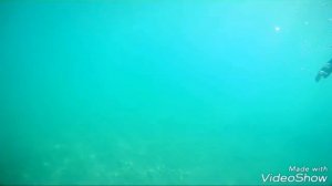 AKKA ANTEDON. ПЛЯЖ И ПОДВОДНЫЙ ИИР.