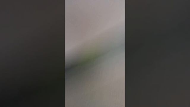 Грэнни день 3 зов призраков , шашлык смотреть онлайн