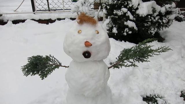 22.01.2022. Россия. Краснодарский край. Слепил снеговика смотреть онлайн