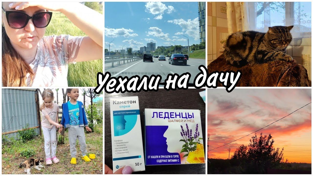 Уехали на дачуПодарок для Амелии☺ Наша любимая Джесси смотреть онлайн