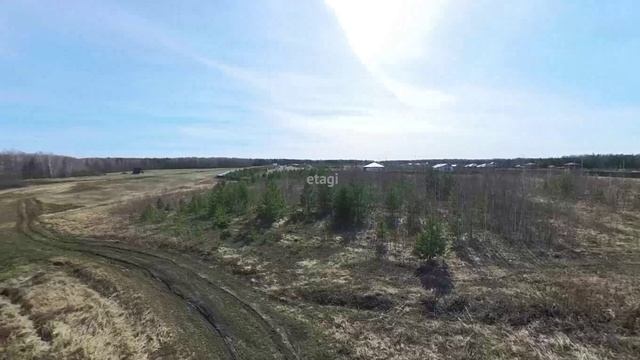 7056065, КП Заповедных смотреть онлайн