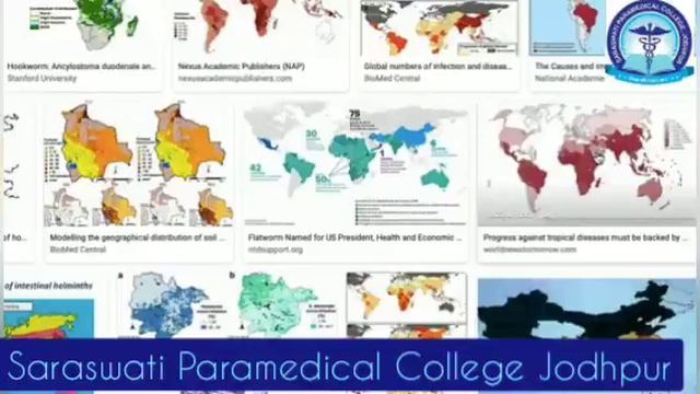 Ankylostoma duodenal part 3 смотреть онлайн