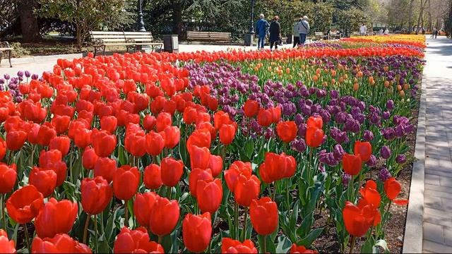 Понедельник был цветущим смотреть онлайн