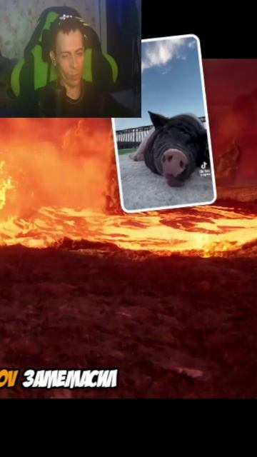 тянет туда же, но не к свинье смотреть онлайн