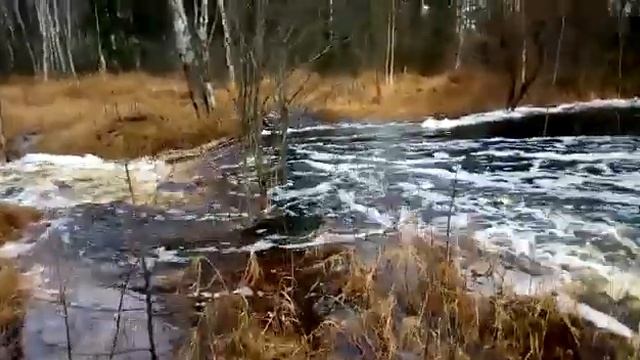 Сотрудники Сахалинского филиала «Главрыбвод» спасли Побединский лососёвый завод от затопления смотреть онлайн