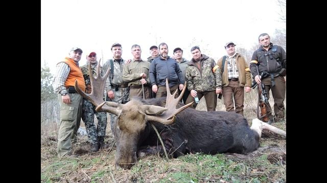 Беловежская пуща смотреть онлайн