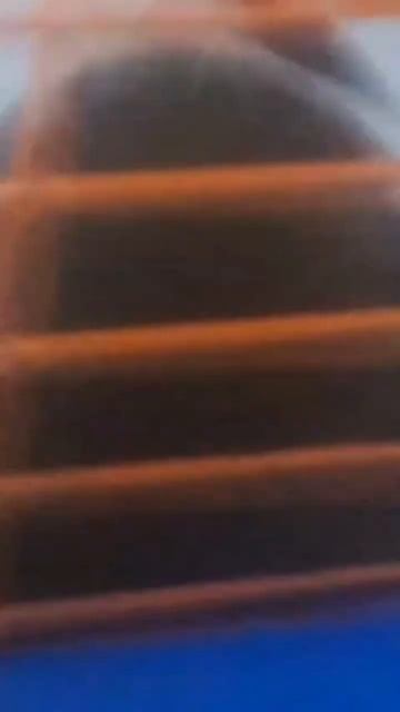 меня спрашивают почему канал называет мир животных вот и ответ