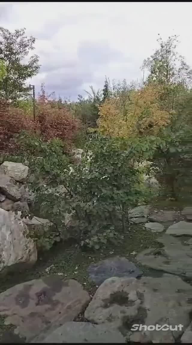 КРАСНОДАР. ЯПОНСКИЙ САД