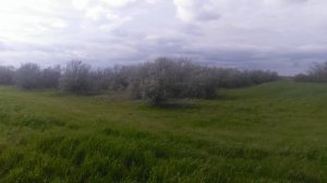 VID_20250426_154133.mp4