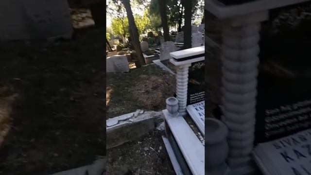 кабристон дар турция смотреть онлайн