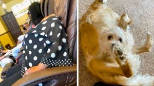 Без стопочки не поймешь