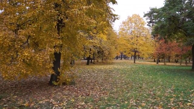 Осень 2019 эталон смотреть онлайн