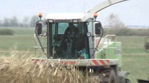 Осенние работы на полях СПК "Гигант"