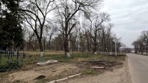 Обзор станицы Новоминская