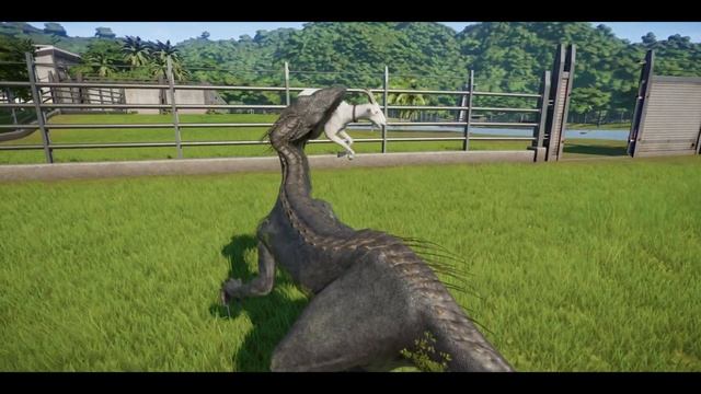 Raptor Wars Indoraptors VS Spinoraptors VS Velociraptors Dinosaurs Fighting!