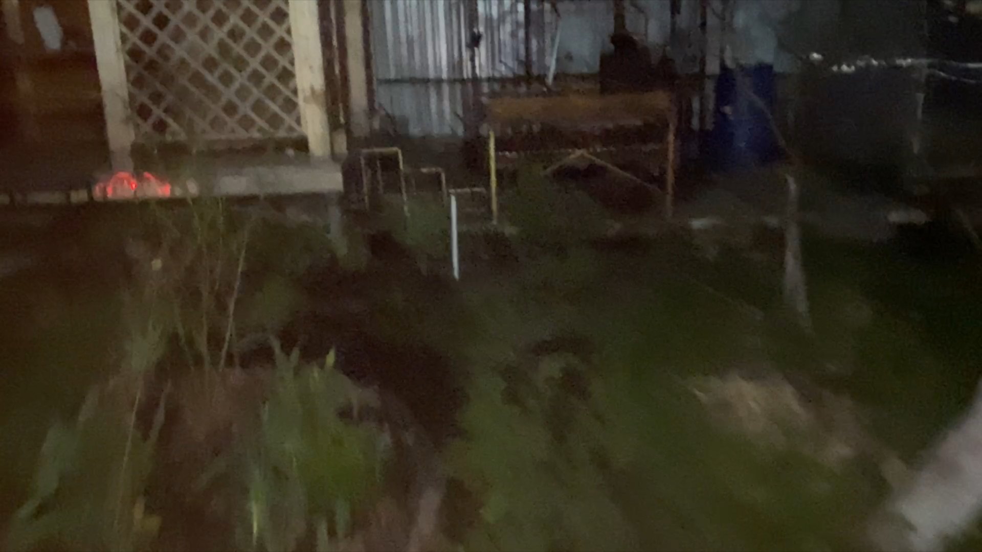 На улице холод. Пора убраться в доме. Сама в тепле и перцы надо спасти. Ночные съёмки. смотреть онлайн