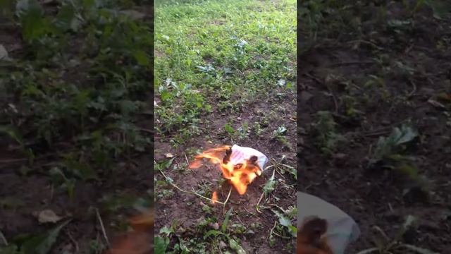 Горите страхи синим пламенем!