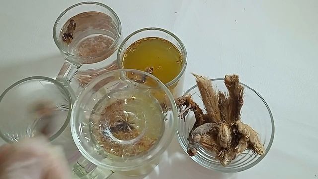 تخسيس البطن و ازالة الكرش في 5 أيام اشربيه بدل المشروبات الغازيةوتمتعي ب بطن مشدود بدون رجيم смотреть онлайн