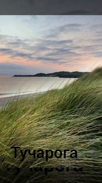 Природы + шиза =