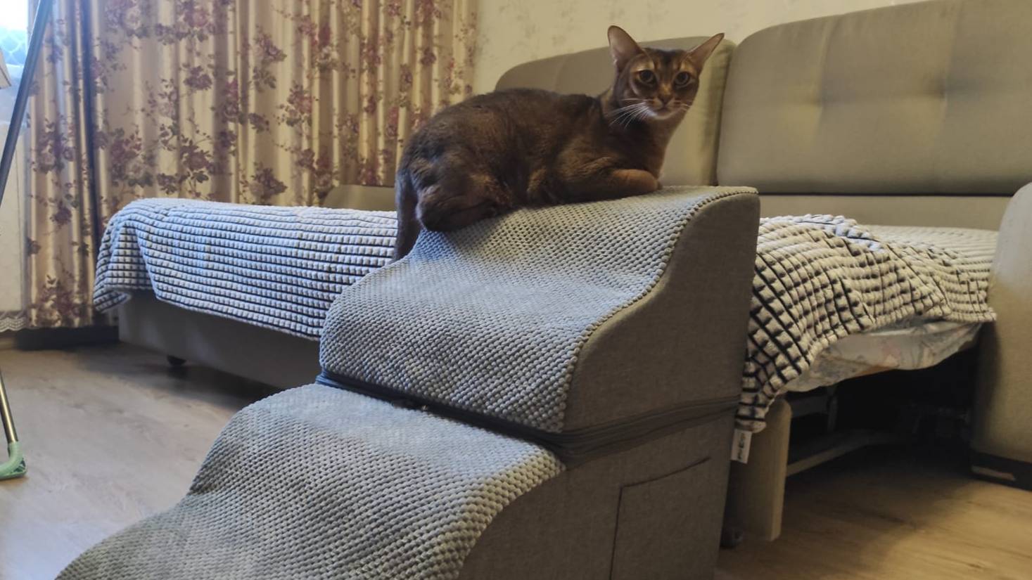 Обзор лестницы для животных от For Ergo