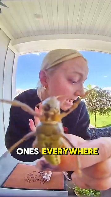 I Can’t Believe My Neighbor Did This 😡