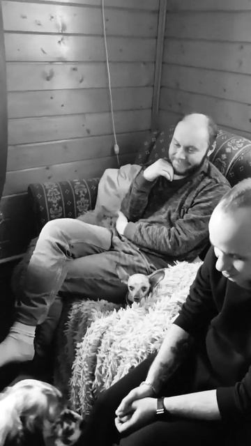 Бригада на Чиле!!!#shorts #музыка #подпишись #youtubeshorts #youtube #животные #cat #callofduty смотреть онлайн