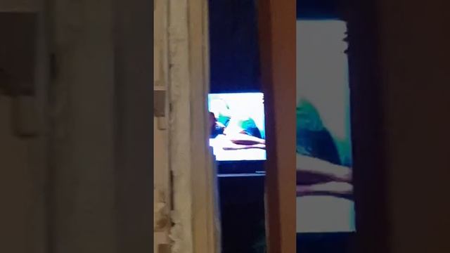 Партнеры триколор тв смотреть онлайн