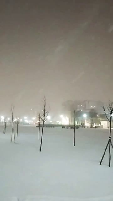 А снег идёт...а снег идёт..#снегопад #январь2023 #зимниезабавы #дети