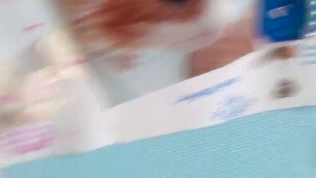 Стена Джеми📅: канал набо ту