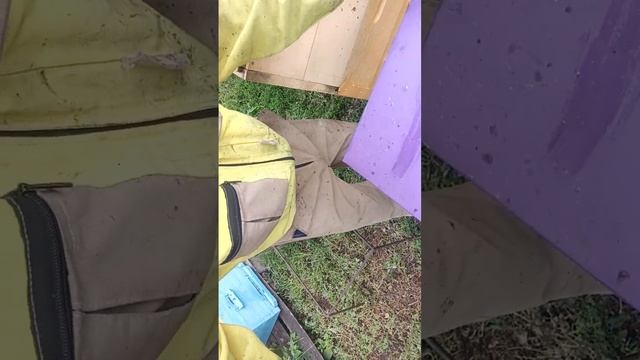 Забираем Мёд 🍯 подготовка рамок к откачке 🤗#блогдеревенского#блогпчеловода смотреть онлайн