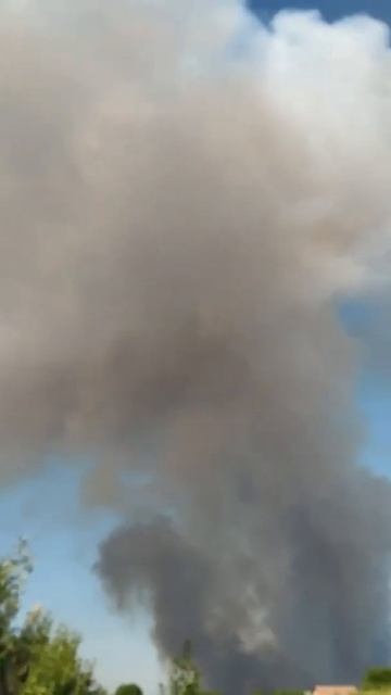 Пожар видно с Днепра: в Новомосковском районе горит лес смотреть онлайн