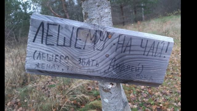 22 декабря 2022 г. смотреть онлайн