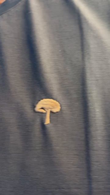 lp смотреть онлайн