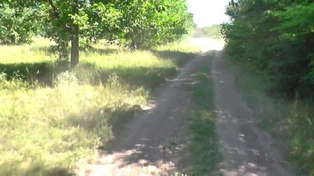 Дорога в крымском заповеднике смотреть онлайн