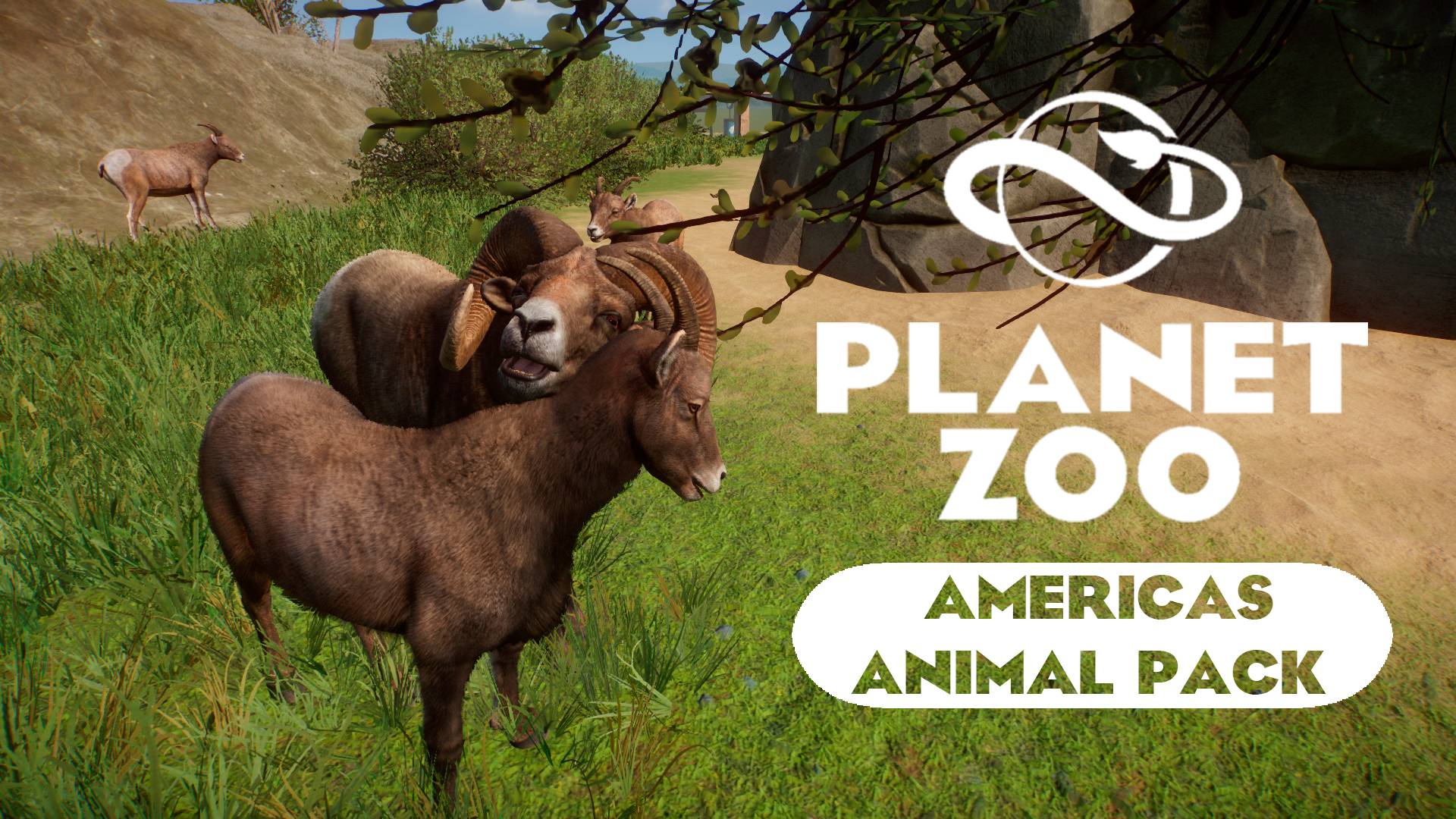 Planet Zoo: Americas Animal Pack - Толсторог смотреть онлайн