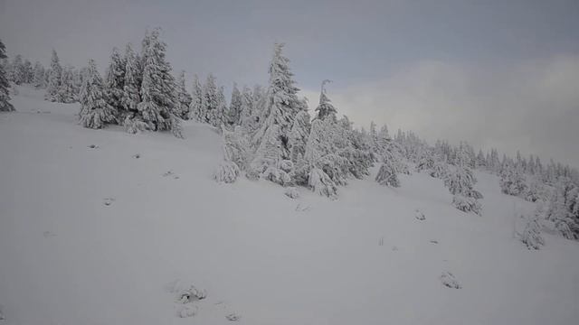 Драгобрат, креселка, спуск