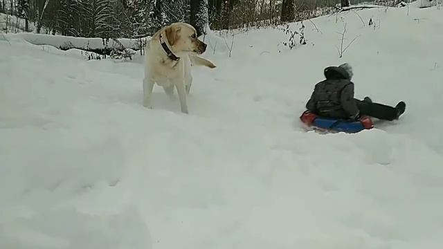 Столкновение на горе
