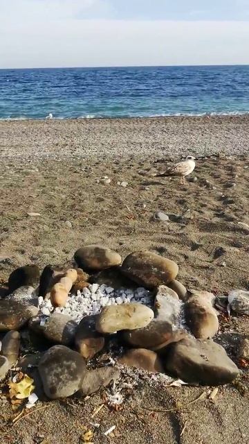 Россия. Крым. Морское. Дикий пляж. смотреть онлайн