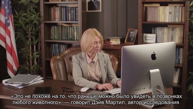 Уникальная структура позвонков позволяла древним хищникам летать даже с длинной шеей