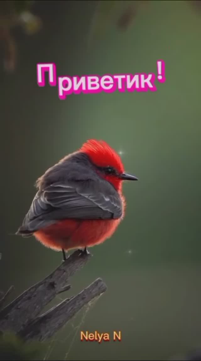 Доброе утро. Добрый вечер ВидеоОткрытка на каждый день смотреть онлайн