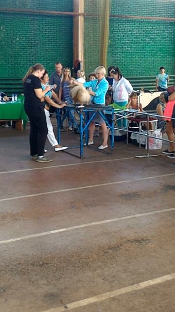 Немецкий малый шпиц Крошка-Хорошка Ароматный Пряник