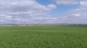 VID_20250426_153356.mp4