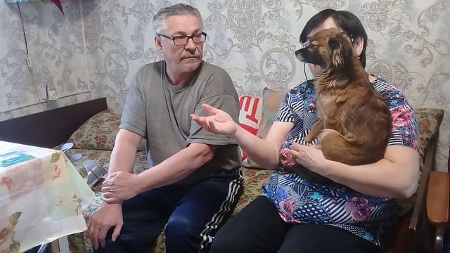 Жизнь в деревне. Весна - 26-04-25. Они по всюду ! смотреть онлайн