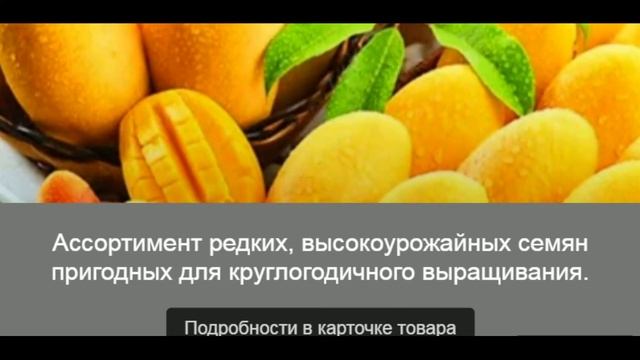 Манго Семена / Торговая точка - Семяныч: смотреть онлайн