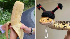 Фото, которые тебя удивят (часть 182)