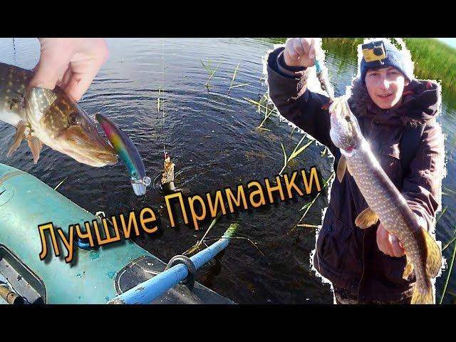 Лучшие Приманки: Которые Показали Себя Хорошо в (2018)