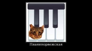 🐱 Породы Кошек + ШИЗА =